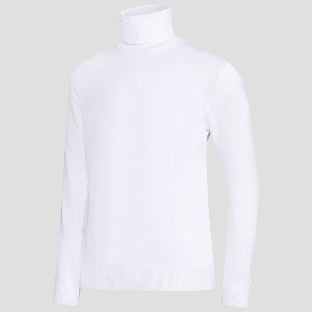 Regular Fit Rollneck