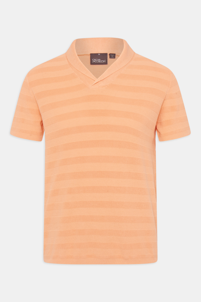 Regular Fit Shalwcollar Striped Knit Poloshirt