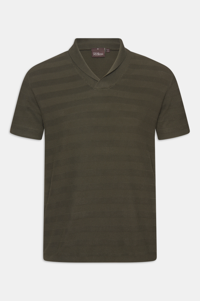 Regular Fit Shalwcollar Striped Knit Poloshirt