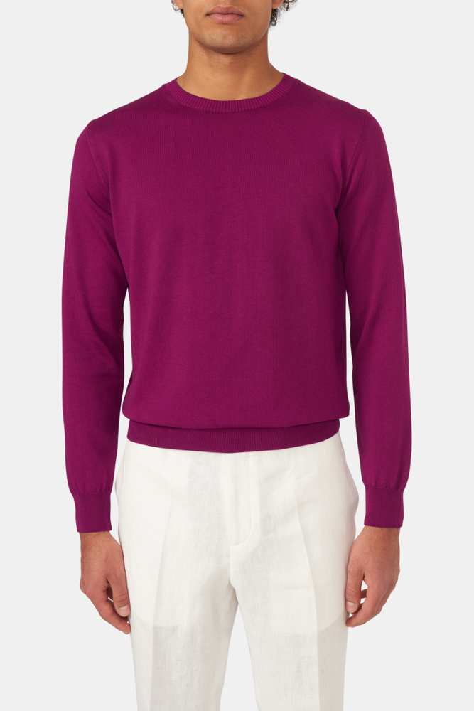 Regular Fit Rundhals Trøje